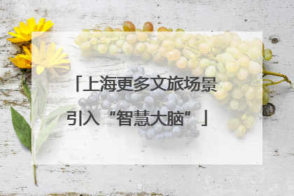 上海更多文旅场景引入“智慧大脑”