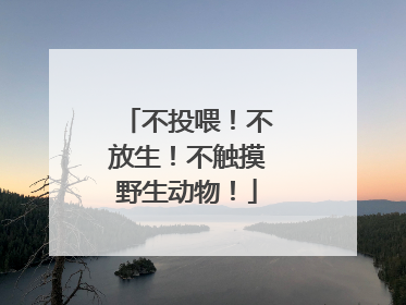 不投喂！不放生！不触摸野生动物！