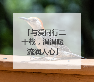 与爱同行二十载，涓涓暖流润人心