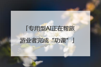 专用型AI正在帮旅游业者完成“功课”