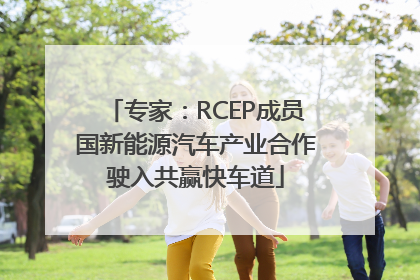 专家：RCEP成员国新能源汽车产业合作驶入共赢快车道