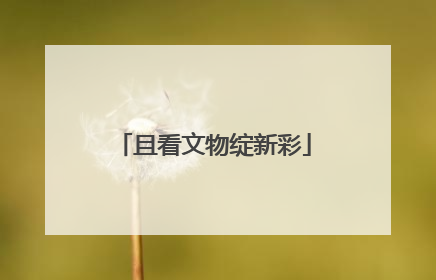 且看文物绽新彩