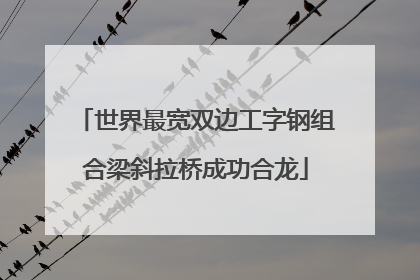 世界最宽双边工字钢组合梁斜拉桥成功合龙