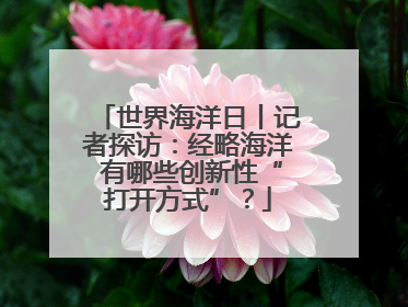 世界海洋日丨记者探访：经略海洋 有哪些创新性“打开方式”？