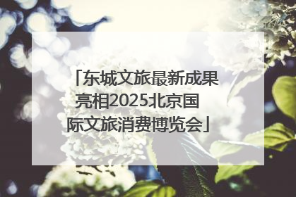 东城文旅最新成果亮相2025北京国际文旅消费博览会