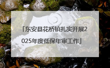东安县花桥镇扎实开展2025年度低保年审工作