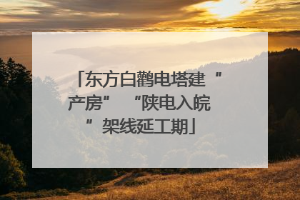 东方白鹳电塔建“产房” “陕电入皖”架线延工期