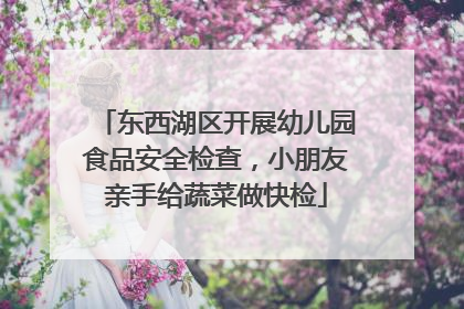东西湖区开展幼儿园食品安全检查，小朋友亲手给蔬菜做快检