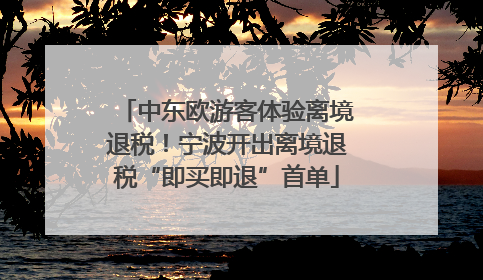 中东欧游客体验离境退税！宁波开出离境退税“即买即退”首单