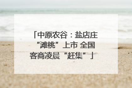 中原农谷：盐店庄“滩桃”上市 全国客商凌晨“赶集”