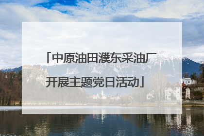 中原油田濮东采油厂开展主题党日活动
