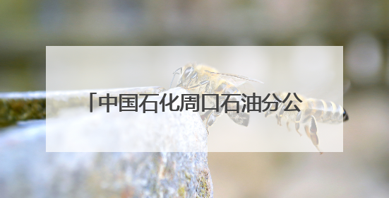 中国石化周口石油分公司：多元服务护“三夏” 暖心助农保丰收