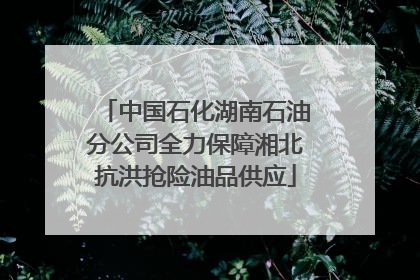 中国石化湖南石油分公司全力保障湘北抗洪抢险油品供应