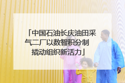 中国石油长庆油田采气二厂以数智积分制 撬动组织新活力