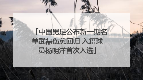 中国男足公布新一期名单武磊伤愈回归 入籍球员杨明洋首次入选