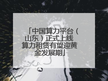 中国算力平台（山东）正式上线 算力租赁有望迎黄金发展期