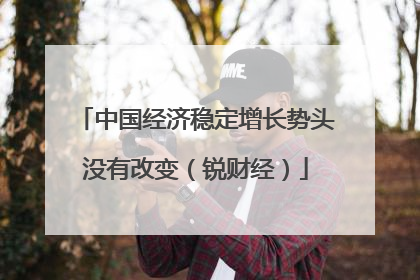 中国经济稳定增长势头没有改变（锐财经）