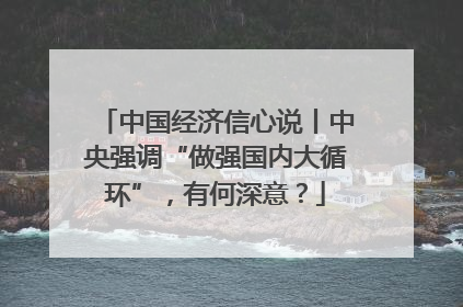 中国经济信心说丨中央强调“做强国内大循环”，有何深意？