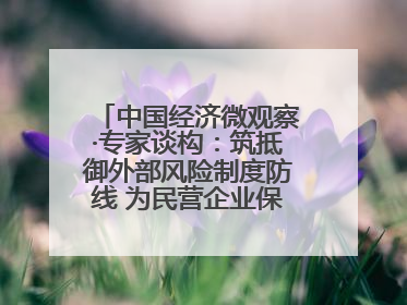 中国经济微观察·专家谈构：筑抵御外部风险制度防线 为民营企业保驾护航