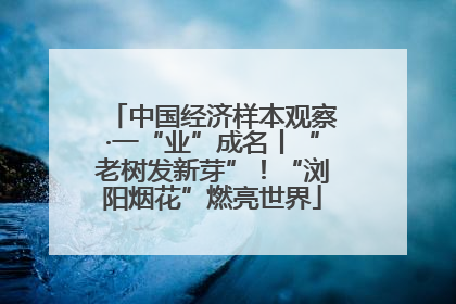 中国经济样本观察·一“业”成名丨“老树发新芽”！“浏阳烟花”燃亮世界