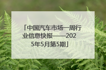 中国汽车市场一周行业信息快报——2025年5月第5期