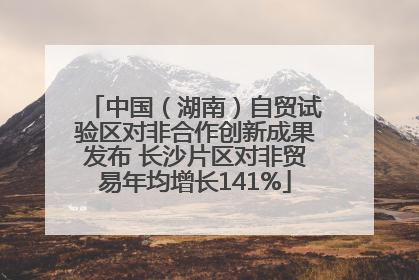 中国（湖南）自贸试验区对非合作创新成果发布 长沙片区对非贸易年均增长141%