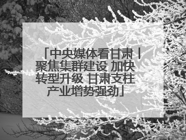 中央媒体看甘肃丨聚焦集群建设 加快转型升级 甘肃支柱产业增势强劲