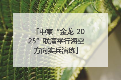 中柬“金龙-2025”联演举行海空方向实兵演练