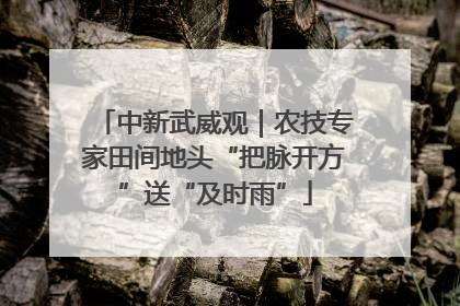 中新武威观｜农技专家田间地头“把脉开方”送“及时雨”