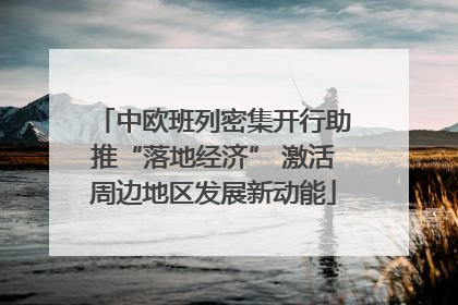中欧班列密集开行助推“落地经济” 激活周边地区发展新动能