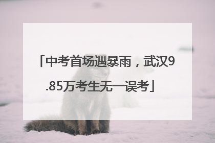 中考首场遇暴雨，武汉9.85万考生无一误考