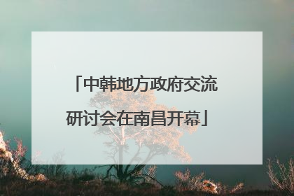 中韩地方政府交流研讨会在南昌开幕