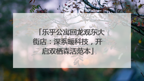 乐乎公寓回龙观东大街店：深系暖科技，开启双栖森活范本