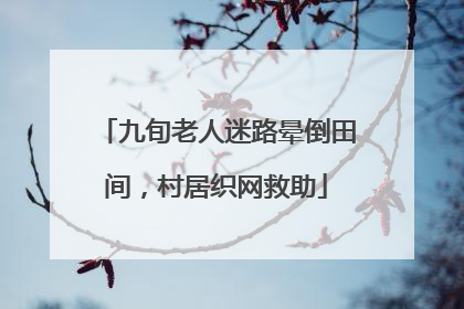 九旬老人迷路晕倒田间，村居织网救助