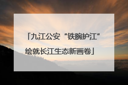 九江公安“铁腕护江”绘就长江生态新画卷