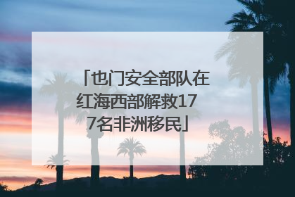 也门安全部队在红海西部解救177名非洲移民