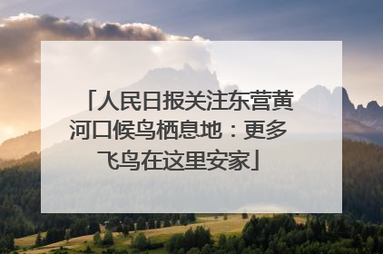 人民日报关注东营黄河口候鸟栖息地：更多飞鸟在这里安家