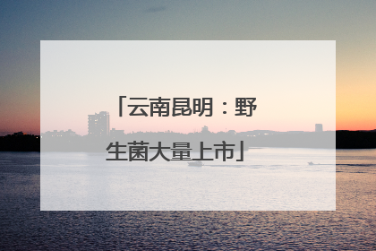 云南昆明：野生菌大量上市