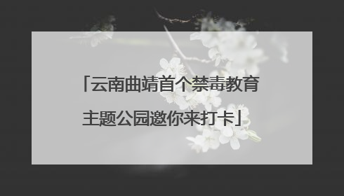 云南曲靖首个禁毒教育主题公园邀你来打卡