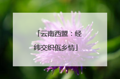 云南西盟：经纬交织佤乡情