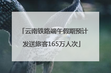 云南铁路端午假期预计发送旅客165万人次