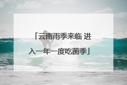 云南雨季来临 进入一年一度吃菌季