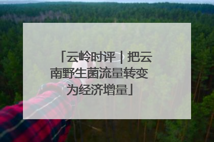 云岭时评｜把云南野生菌流量转变为经济增量
