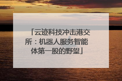 云迹科技冲击港交所：机器人服务智能体第一股的野望