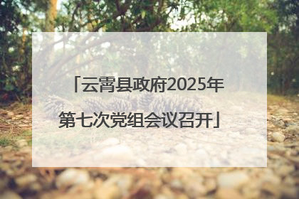 云霄县政府2025年第七次党组会议召开