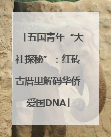 五国青年“大社探秘”：红砖古厝里解码华侨爱国DNA