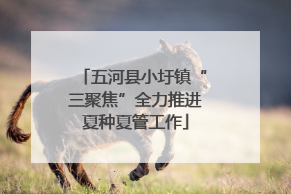 五河县小圩镇“三聚焦”全力推进夏种夏管工作