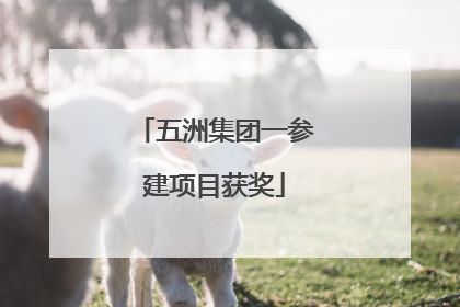 五洲集团一参建项目获奖