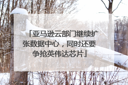 亚马逊云部门继续扩张数据中心，同时还要争抢英伟达芯片