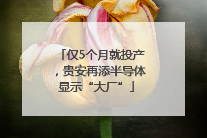 仅5个月就投产，贵安再添半导体显示“大厂”